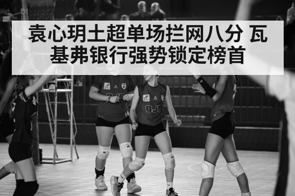 Turkish volleyball league match